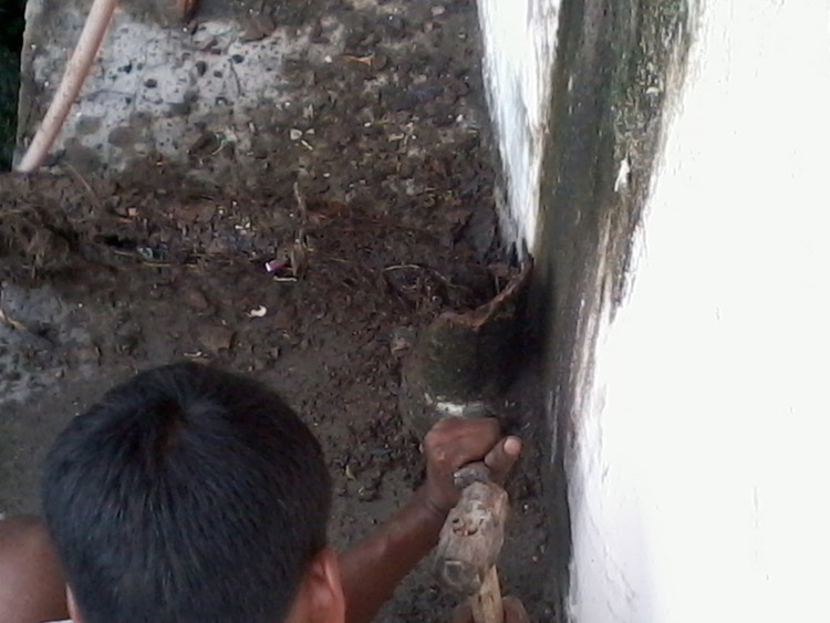 waterproofing contractor at kolkata